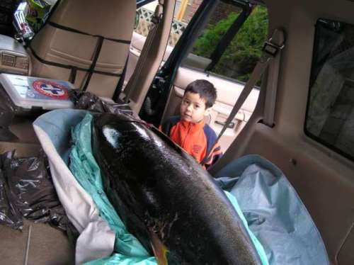 Drake next door checking out the BIG tuna fish