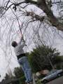 What all men want for Valentine's Day. . . a chain saw on a stick!
February 14, 2005
