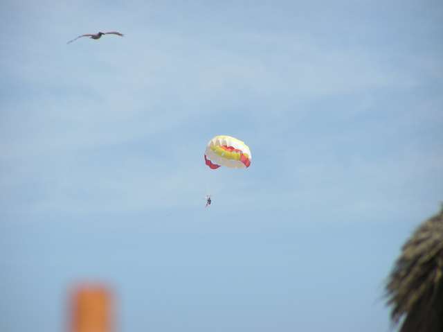 Parasailing with the frigate
