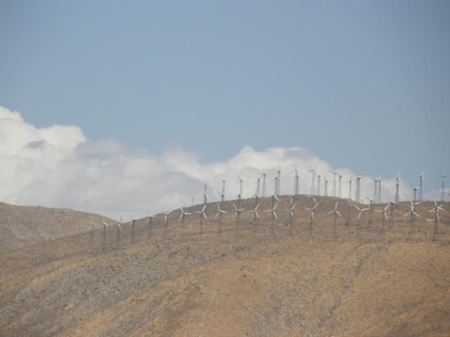 wind farm on the way to Palm Springs
