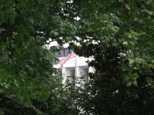 flag flying through the trees