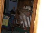 GrandPaw Jay in a cage