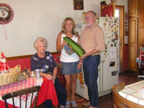 Now that's a zucchini, and we ate it for dinner!