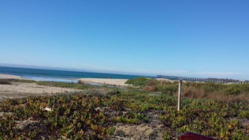 A Beautiful Day in Ventura CA for A Wedding